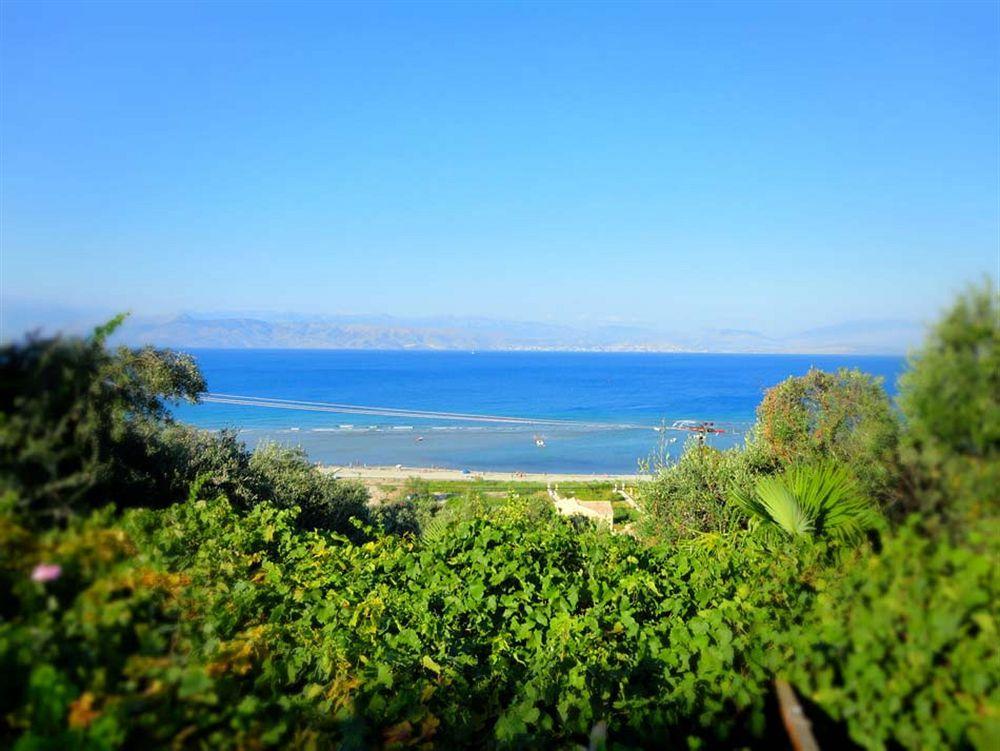 Dionysos Apartments Apraos Dış mekan fotoğraf